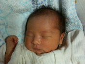 image/pualu-2005-10-07T16:12:34-1.jpg