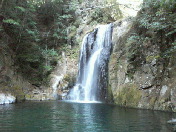 image/pualu-2006-01-29T02:03:30-1.jpg