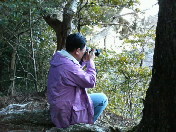 image/pualu-2006-01-29T08:08:51-1.jpg