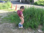 blog5_21_2.jpg