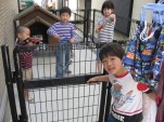 blog5_7_2.jpg