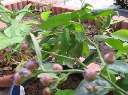 blog7_10.jpg